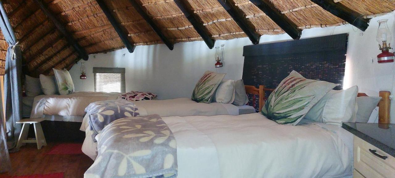 Blackbrook Farm Underberg Exterior foto
