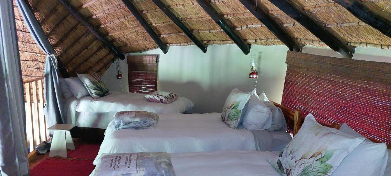 Blackbrook Farm Underberg Exterior foto