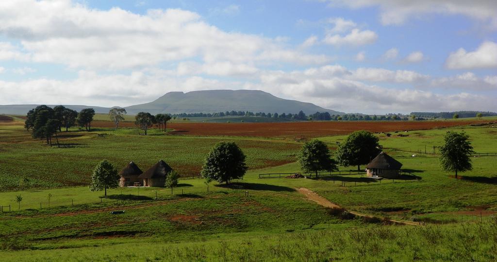 Blackbrook Farm Underberg Exterior foto